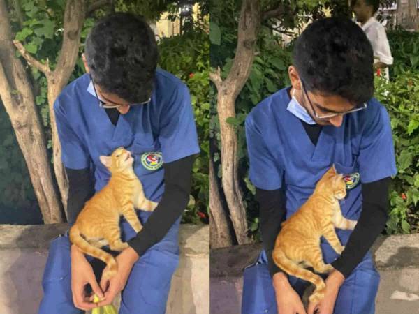 見知らぬ男性を『一瞬』で癒した子猫　「子猫が天使に舞い降りた」「ありがとう」