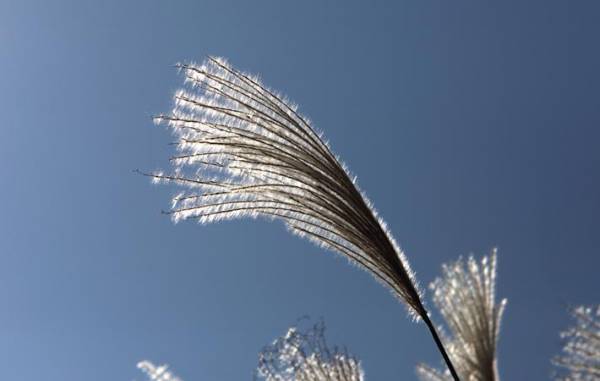 その日感じたことを五行詩に　新しい扉を開く鍵になる