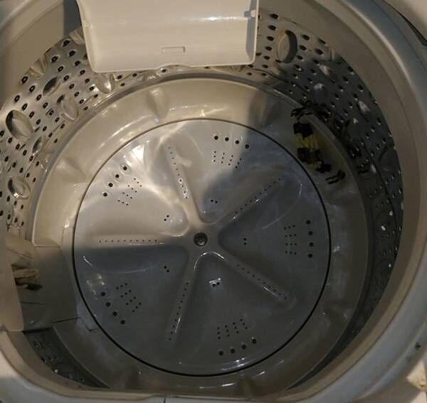 洗濯で大惨事！　洗濯機から香るはずのない『バニラの匂い』の正体に反響