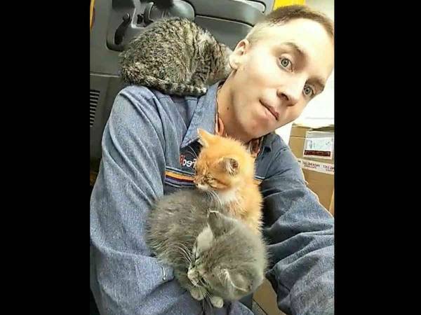 そりゃドヤ顔になるわ　子猫にまみれた配達員が「今日は人生最高の日」