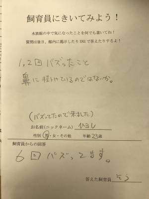 客からの、辛らつな質問に対し…？　館長の答えに「最高！」「笑った」の声