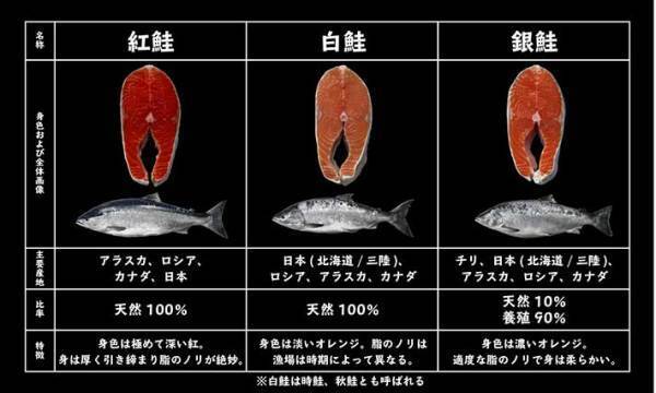 普段、何気なく買っていた鮭　種類の違いに「知らなかった」「意識して選びたい」