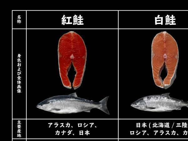 普段、何気なく買っていた鮭　種類の違いに「知らなかった」「意識して選びたい」