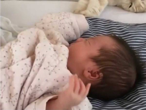 「天使しかいない」　猫と赤ちゃんとの『ある動画』に悶絶する人続出！