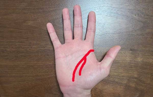 手相占いで性格はどこまで分かるのか？　１日に２人の占い師に鑑定してもらうと…