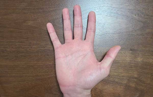 手相占いで性格はどこまで分かるのか？　１日に２人の占い師に鑑定してもらうと…