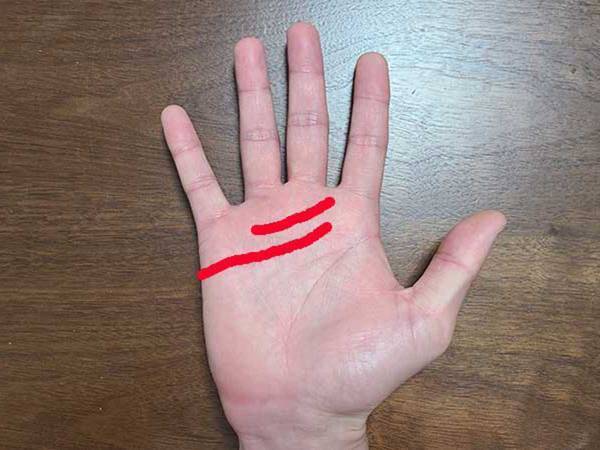 手相占いで性格はどこまで分かるのか？　１日に２人の占い師に鑑定してもらうと…