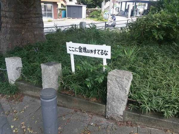 公園で見付けた『注意書き』　左側を見てみると…？