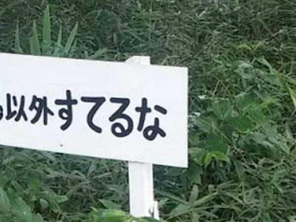 公園で見付けた『注意書き』　左側を見てみると…？