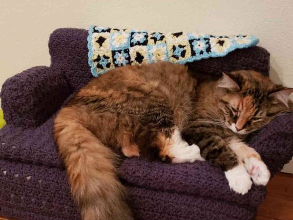 猫好きさんたちから「欲しい！」の声が殺到　猫専用の『ソファ』がかわいい