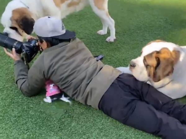 「すごい」の声が相次ぐドッグランで撮影していたカメラマン　なぜなら…