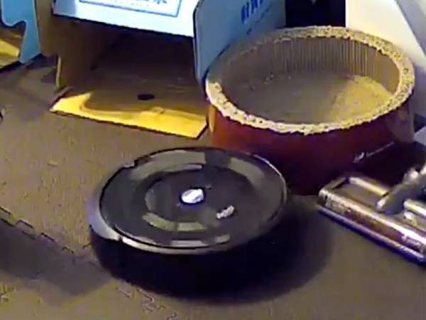 ルンバ「動けなくなりました」　通知を受け取った女性が自宅のカメラを確認すると…