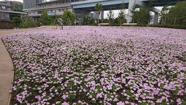 どうしてここに？漢字一文字の真っ赤な謎の『花』オブジェ