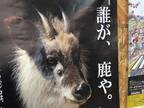 「誰が、シカや」　三重県のポスターに２万人が吹き出す