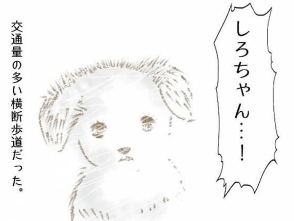 「お母さんに会いたい」　手離した子犬の運命に、涙がとまらない