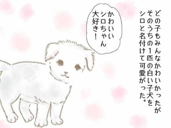 「お母さんに会いたい」　手離した子犬の運命に、涙がとまらない