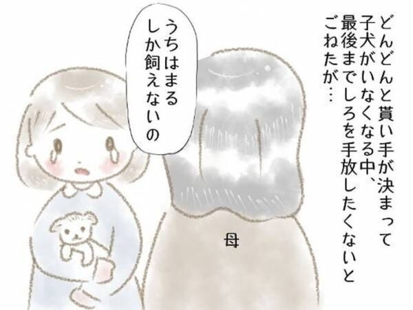 「お母さんに会いたい」　手離した子犬の運命に、涙がとまらない