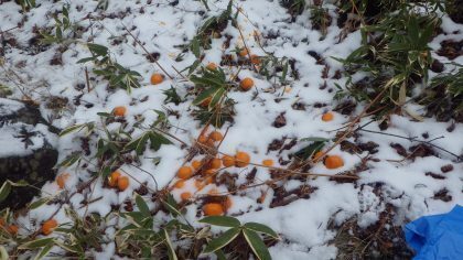 コロナの影響で増えている？　『心ない行い』の写真に悲しくなる