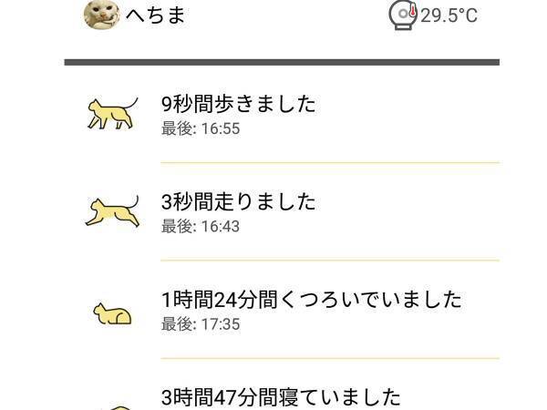 ２４歳の猫、睡眠時間が短くなっていて…？　その後の展開に「泣いた」「心が温まりました」