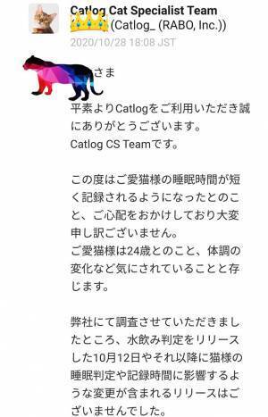 ２４歳の猫、睡眠時間が短くなっていて…？　その後の展開に「泣いた」「心が温まりました」