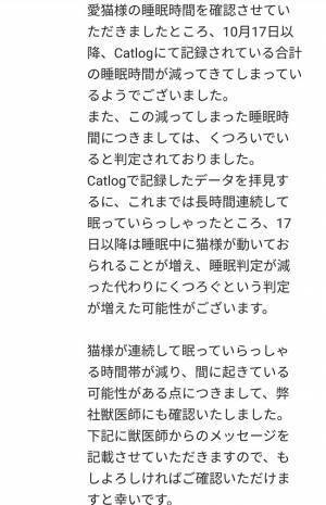 ２４歳の猫、睡眠時間が短くなっていて…？　その後の展開に「泣いた」「心が温まりました」