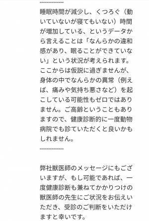 ２４歳の猫、睡眠時間が短くなっていて…？　その後の展開に「泣いた」「心が温まりました」