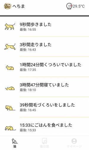 ２４歳の猫、睡眠時間が短くなっていて…？　その後の展開に「泣いた」「心が温まりました」