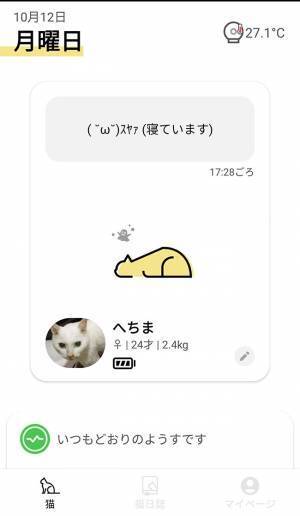 ２４歳の猫、睡眠時間が短くなっていて…？　その後の展開に「泣いた」「心が温まりました」