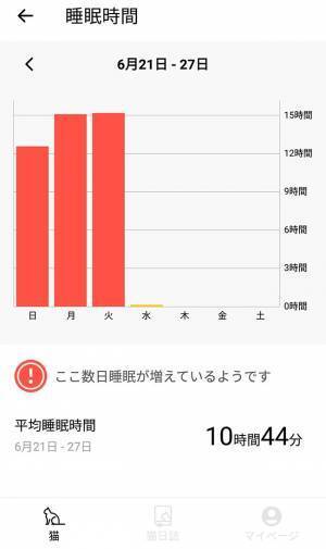 ２４歳の猫、睡眠時間が短くなっていて…？　その後の展開に「泣いた」「心が温まりました」