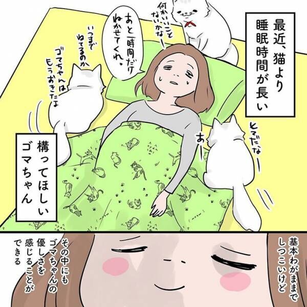 愛が重い 妊娠中の飼い主に対する 猫の行動 に 吹き出す 年11月2日 ウーマンエキサイト