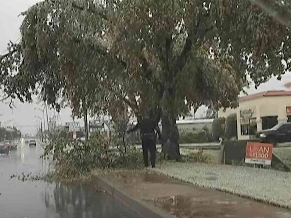 Edmond Police Department, Government