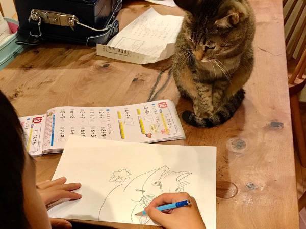 「息子よ、それでいい」　宿題そっちのけで遊ぶ子に、母がうなずいたワケは…？