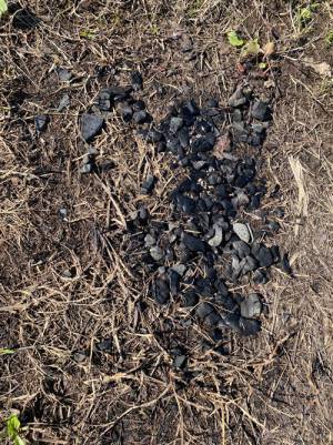 放置された炭の写真　キャンパーの注意喚起に「知らなかった」「無知は罪」