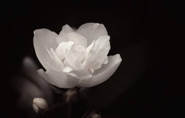 心がざわざわするときには、「丁寧にする」というリズムで心を整える