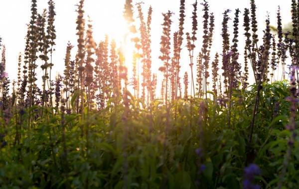 心がざわざわするときには、「丁寧にする」というリズムで心を整える