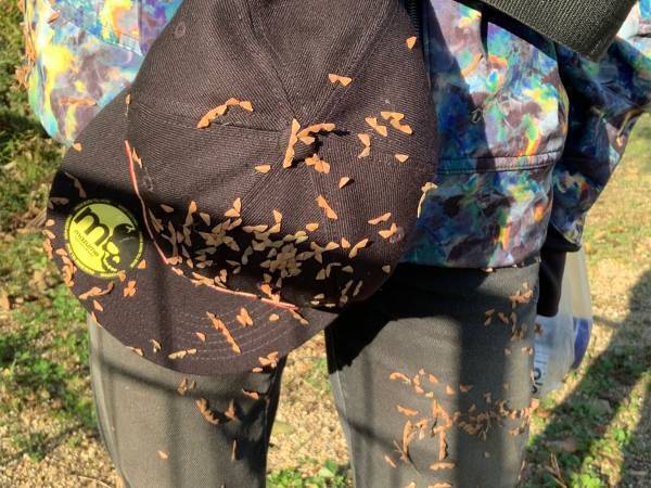 服についた『ひっつき虫』を簡単に取る方法に、反響　「知らなかった」「良い情報！」