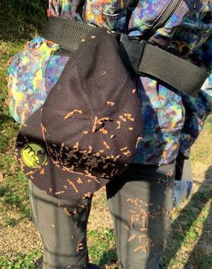 服についた『ひっつき虫』を簡単に取る方法に、反響　「知らなかった」「良い情報！」