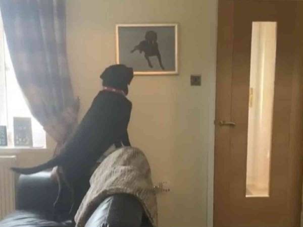 天国に旅立った『親友』の肖像画を見た犬が？　「鳥肌がたった」「泣きそう」