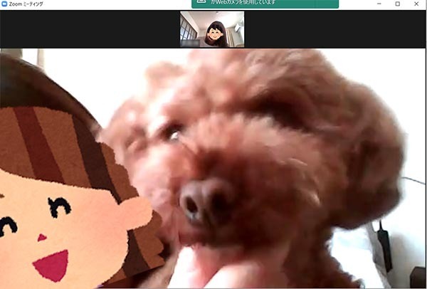 「帰省は控えようかな…」　そう思って、実家の両親とビデオ通話をしてみたら？