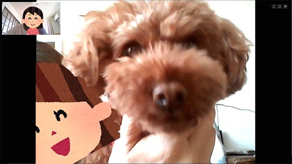 「帰省は控えようかな…」　そう思って、実家の両親とビデオ通話をしてみたら？