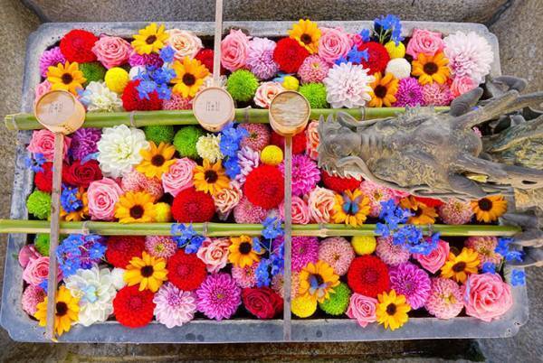 京都で見つけた美しすぎる秋　その光景に息をのむ