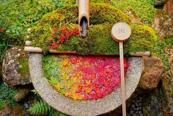 京都で見つけた美しすぎる秋　その光景に息をのむ