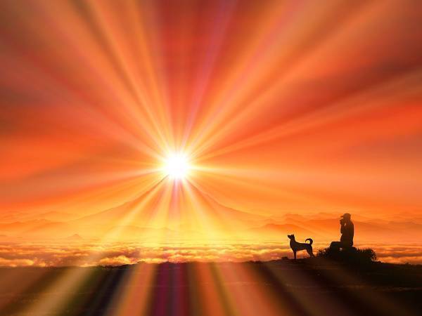 １１月１７日は、２０２０年最後の天赦日　何かを始めるのに最適な日！