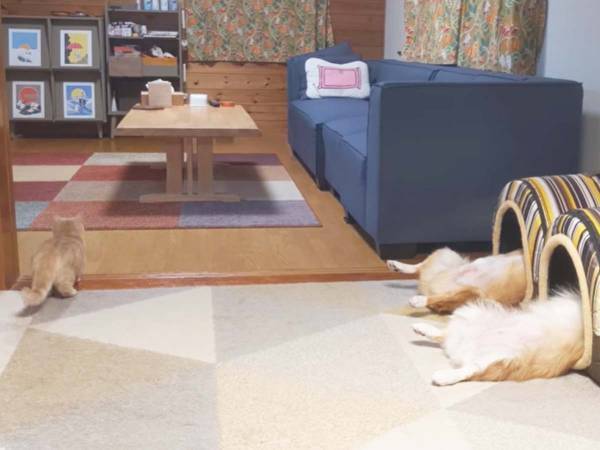 「耐えられない環境で仕事をしています」　その理由をご覧ください