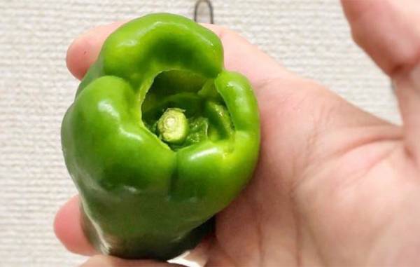料理人の『ピーマンの種の取り方』に、驚きの声　「今までの手間は何だったんだ」