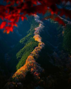 『昇り竜』の異名を持つ深い谷　その理由が分かる写真に思わず息をのむ