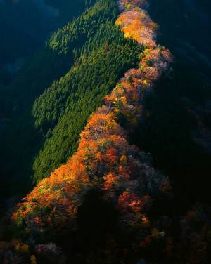 『昇り竜』の異名を持つ深い谷　その理由が分かる写真に思わず息をのむ