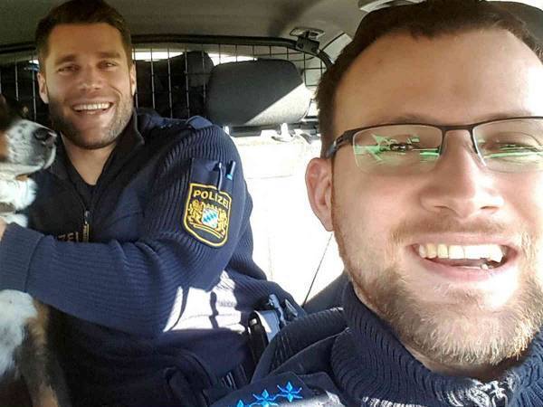 家出をして、道路を歩いていた迷い犬　警察に「捕まった」直後の表情に爆笑