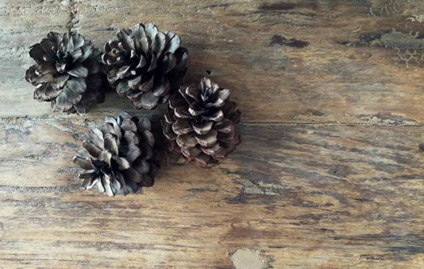 クリスマス・リースの輪に込められた、人々の祈りに思いを馳せる