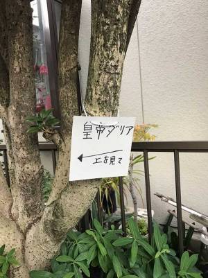 女性が見付けた謎の『貼り紙』　その先にあるものが「美しい」「いいことありそう」